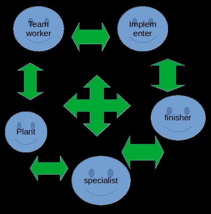 Belbin team roles: team worker, implementer, plant, finisher, specialist